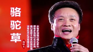 80年代电影《骆驼草》同名曲，阎维文演唱，歌声响亮充满革命情 [upl. by Waldman]