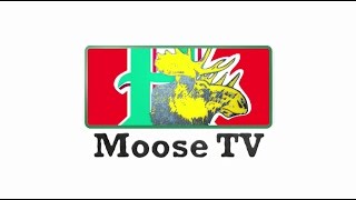 Moose Minute Getting Personal [upl. by Eppesuig]