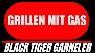 Folge 001  Black Tiger Garnelen [upl. by Annissa571]