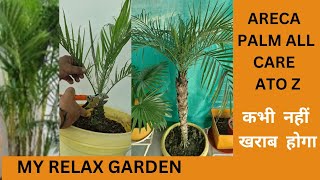 How To Care Areca Palm  Areca Palm Plant Ki CARE Kese Kren [upl. by Aztilay]