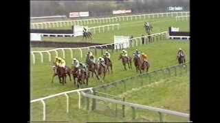 1988 Tote Cheltenham Gold Cup Chase [upl. by Cutlor706]