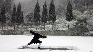 Wudang Sanfeng Taijiquan 13 [upl. by Air]