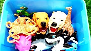 Animals Farm Toys Baby Find Mom Lots of Animal Toys for Kids ★ Learn Colors！ [upl. by Gwenette]