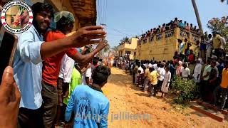 Komaragunta Jallikattu Highlights Part1jallikattu trend trendingvideo [upl. by Yorled]