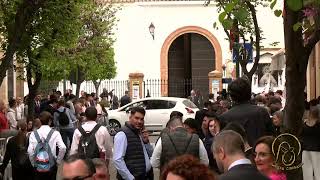 En Directo desde Sevilla Procesiones del Domingo de Ramos [upl. by Leugimesoj]