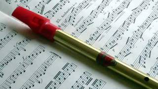 Rondo from 4th Horn Concerto by Mozart played on Penny Whistle Tin Whistle [upl. by Fredi]