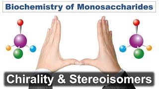 Biochemistry of Monosaccharides Chirality amp Stereoisomerism part I [upl. by Greenland24]