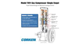 CORKEN T891 Reciprocating Gas Compressor [upl. by Zednanreh617]