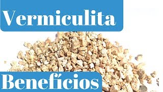 Conheça os Principais Benefícios da Vermiculita para as Plantas [upl. by Stephi747]