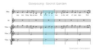 🎶 Sleepsong  Secret Garden 🎸🎸 [upl. by Sinne]