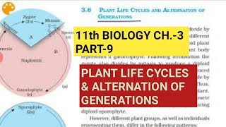 Class 11 BiologyCh3 Part9Plant life cycles amp Alternation of generationsStudy with Farru [upl. by Annwahs339]