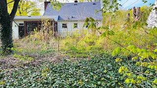 Family STUNNED as Overgrowth Overtakes Yard QUICKLY [upl. by Wanonah]