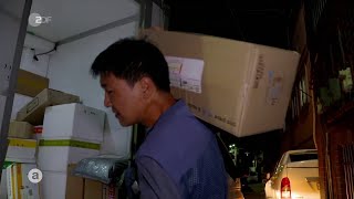 Paket Horror in Südkorea  Die Not der Paketboten [upl. by Orian136]