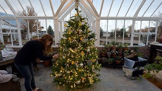 Decorating a Christmas Tree in the Hartley 🎄🥰🎄 Garden Answer [upl. by Anina]