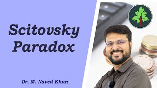 Scitovsky Paradox Hindi [upl. by Vinita]