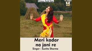 Meri Kadar Na Jani Re Hindi Song [upl. by Naira]