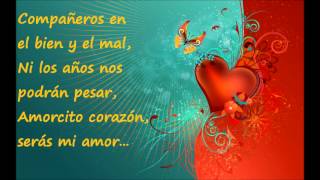 Amorcito Corazón  Chayanne Letras [upl. by Nilak]