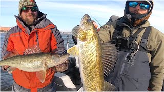 Jigging a TON of River Walleyes on FAVORITE Spring Lure [upl. by Gimble]