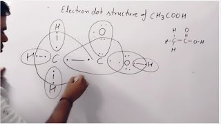 Electron dot structure of acetic acid ch3cooh Lewis structure of ch3cooh class 10 class 12 chemistry [upl. by Reiche440]