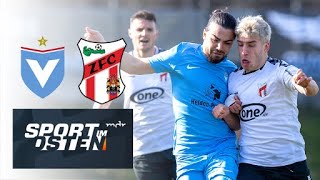 ZFC Meuselwitz holt bei Viktoria Berlin nächstes Remis  Sport im Osten  MDR [upl. by Tloh]