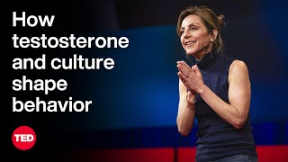 How Testosterone and Culture Shape Behavior  Carole K Hooven  TED [upl. by Wendelin970]