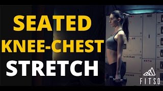 How to do Seated Knee to Chest Stretch [upl. by Ateekahs]