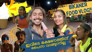 ജിലേബി മുതൽ കഞ്ചാവിന്റെ കടി വരെ😳  Bikaner Food Tour🌮🧁  EP  10 [upl. by Arline536]