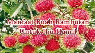 Manfaat Buah Rambutan Untuk Ibu Hamil [upl. by Schreiber]