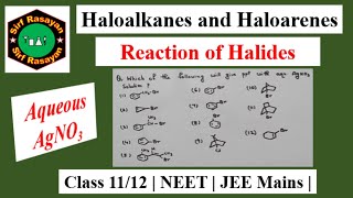 Haloalkanes and Haloarenes  Reaction of Halides  01 [upl. by Haveman]