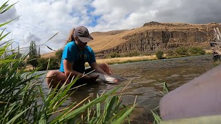 Deschutes Steelhead Prolific Day of Steelhead and Trout Fly Fishing [upl. by Assadah954]