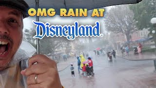 Wild Rainy day at Disneyland [upl. by Nitz]