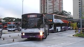 SBS buses in Bedok Singapore [upl. by Maddi]