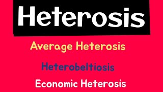 Heterosis  Average Heterosis  Heterobeltiosis  Economic Heterosis  Plant Breeding [upl. by Soinski521]