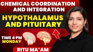 Hypothalamus and Pituitary  Chemical Coordination and Integration Detailed class  Ritu Rattewal [upl. by Maje898]