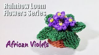 Rainbow Loom Flowers Series African Violets [upl. by Zoubek]