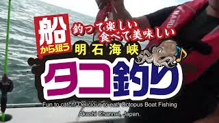 Fun to catch Delicious to eat Octopus Boat Fishing Akashi Channel Japan [upl. by Pail]