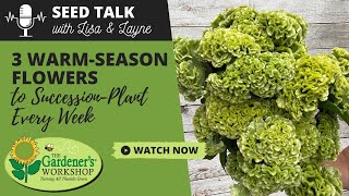 Seed Talk 89  3 WarmSeason Flowers to SuccessionPlant Every Week [upl. by Atterrol436]