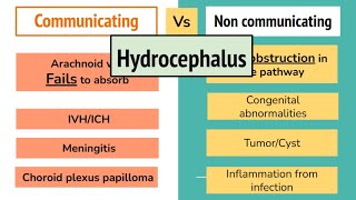 Hydrocephalus Mnemonics And High Yield Points For For NEET PG  FMGE [upl. by Weld]