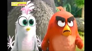 GTV  Siesta Fiesta Movies  The Angry Birds Movie 2 2019 Trailer [upl. by Kittie603]