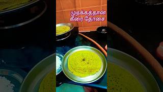 Mudakkathaan keerai dosai dosai cookingvideo villagecooking trendingsong mudakathankeeraidosai [upl. by Suiravaj]