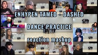 ENHYPEN TAMED  DASHED DANCE PRACTICE  reaction mashup [upl. by Dirfliw]