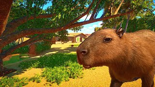 Starting an Ethical Zoo in Planet Zoo Franchise Mode [upl. by Nylrebma315]