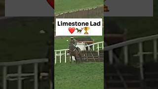 Limestone Lad A Racing Legend Remembered [upl. by Corly]