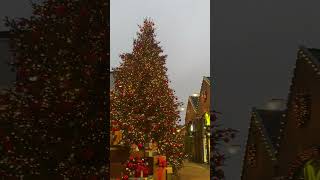 roosendaal outlet christmas christmastree weekend [upl. by Torosian740]