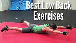 BEST Lower Back Exercises for Home  Low Back Pain Relief  Sean Vigue Fitness [upl. by Tannie]