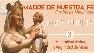 Curso de Mariología 35 de Mons Munilla [upl. by Lecram]