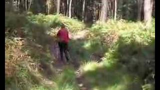 Nordic Walking Speed Power Abnehmen aber mitVernunft [upl. by Etteniotnna]