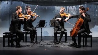 Maurice Ravel  Quatuor à Cordes en Fa Majeur  2nd Movement Assez vif très rythmé  Quatuor Agate [upl. by Netsreik]