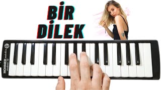 Cemre Solmaz  Bir Dilek NOTALI  Melodika Günlüğü [upl. by Radborne705]