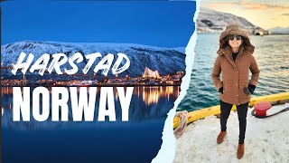 Harstad  Norway  Tromso Cruise [upl. by Akayas]